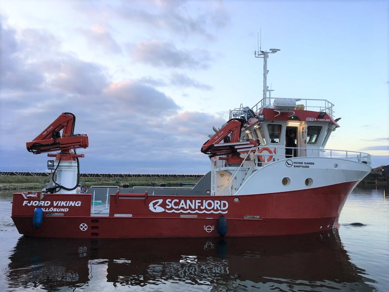 Fjord Viking