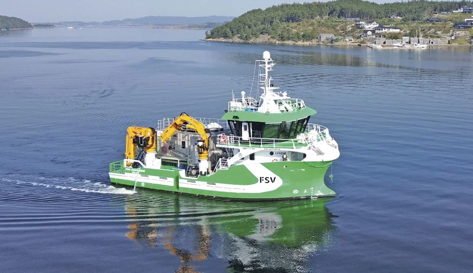 FSV Superior