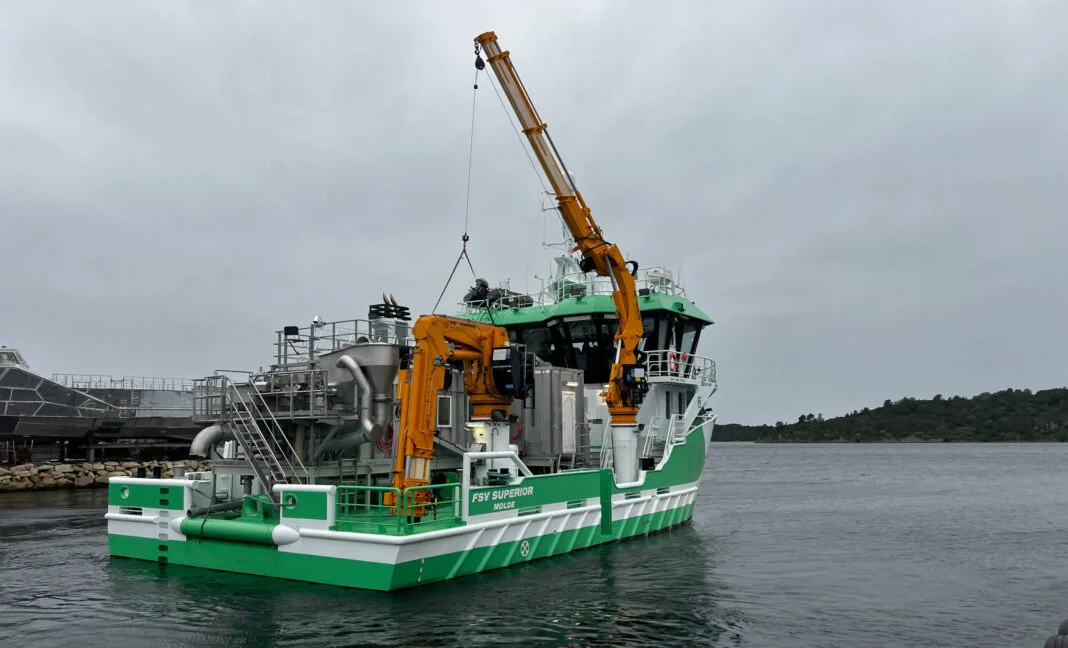 FSV Superior